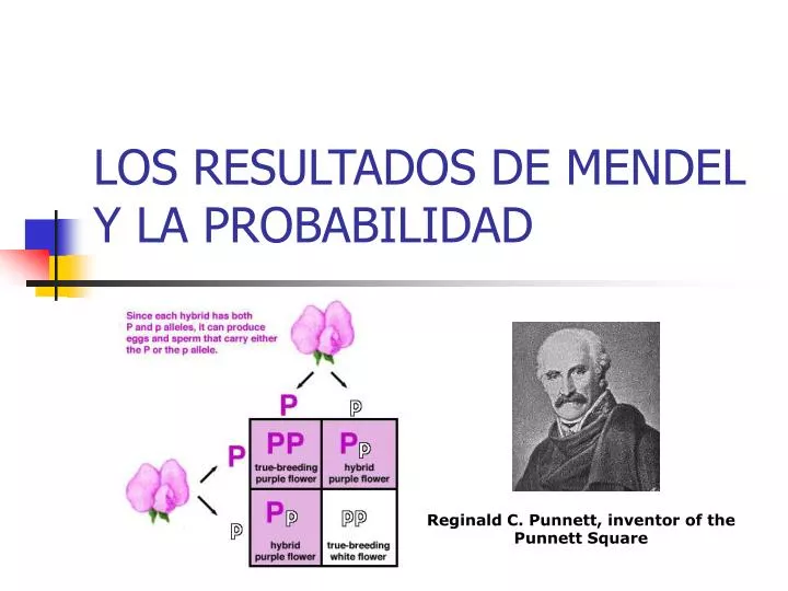 los resultados de mendel y la probabilidad