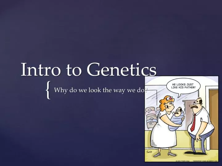 intro to genetics