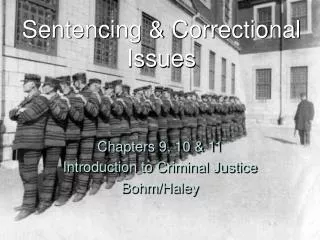 Sentencing &amp; Correctional Issues