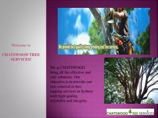 Best Tree removal services Sydney