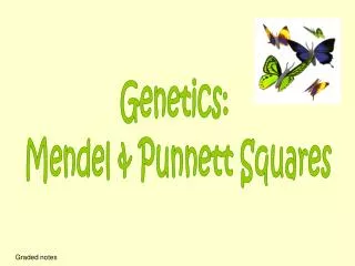 Genetics: Mendel &amp; Punnett Squares
