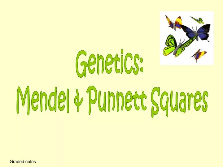 Ppt Genetics Mendel And Punnett Squares Powerpoint Presentation Id
