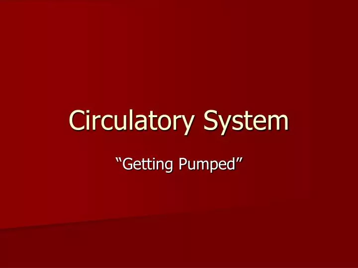 circulatory system