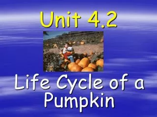 unit 4 2