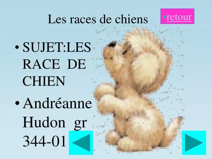 les races de chiens