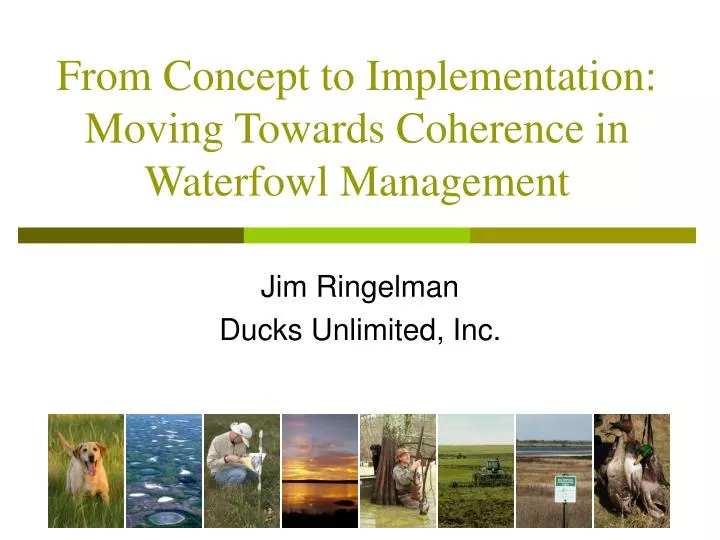 from concept to implementation moving towards coherence in waterfowl management