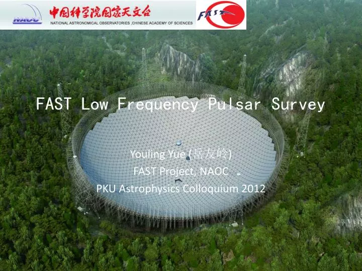 fast low frequency pulsar survey
