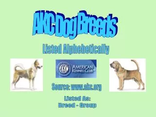 AKC Dog Breeds