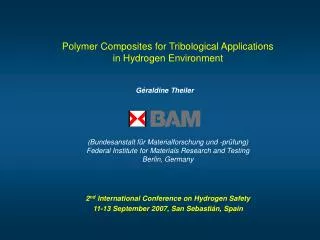 Polymer Composites for Tribological Applications in Hydrogen Environment