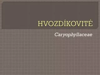 hvozd kovit