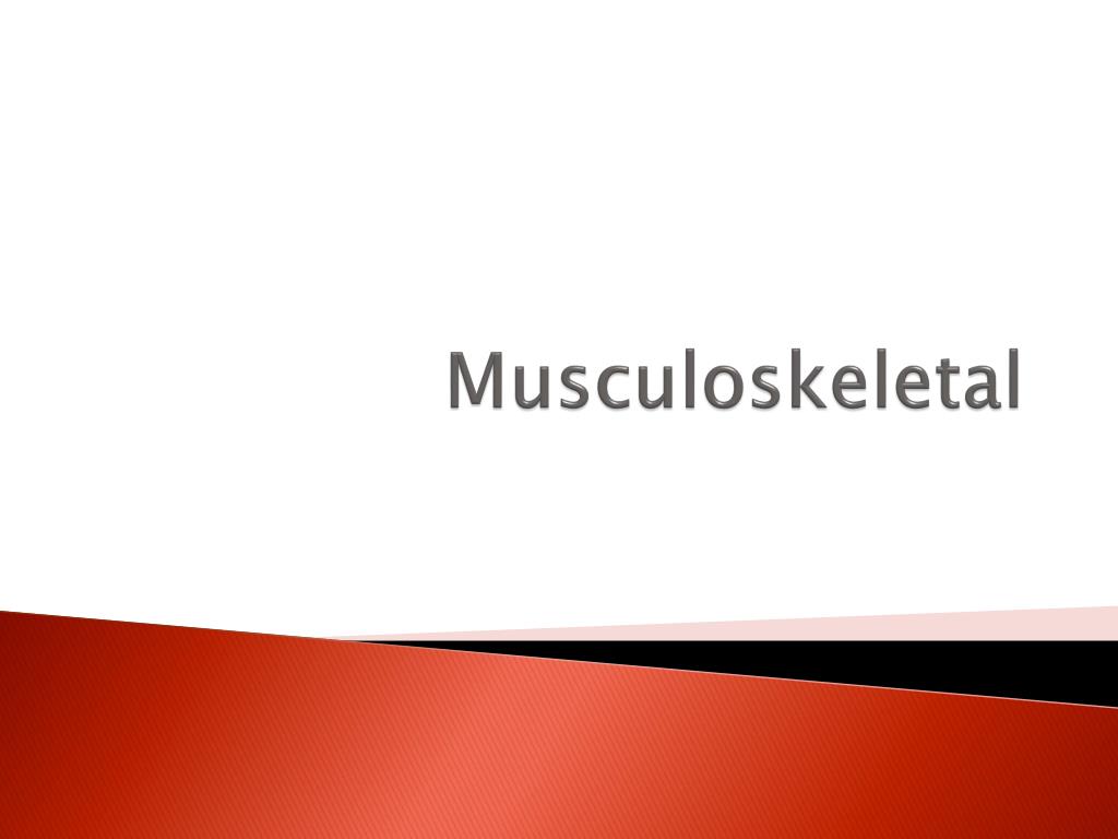 PPT - Musculoskeletal PowerPoint Presentation, free download - ID:6588045