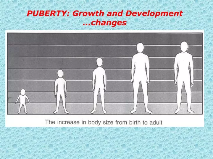 puberty growth and development changes