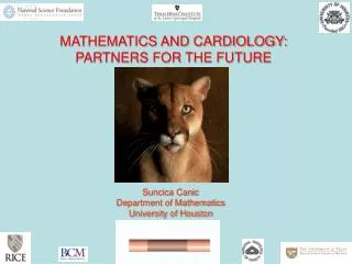 MATHEMATICS AND CARDIOLOGY: PARTNERS FOR THE FUTURE