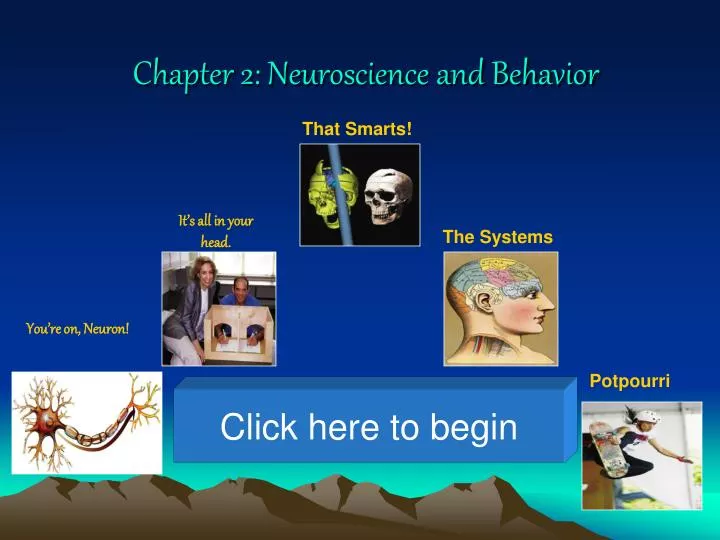 chapter 2 neuroscience and behavior