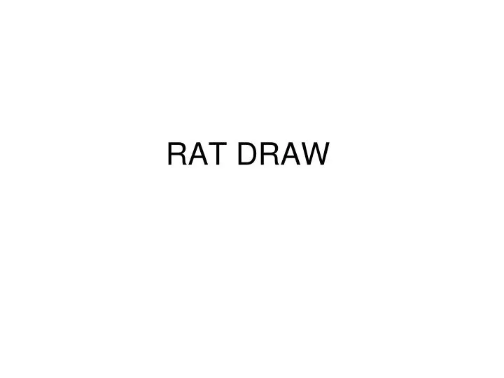 rat draw
