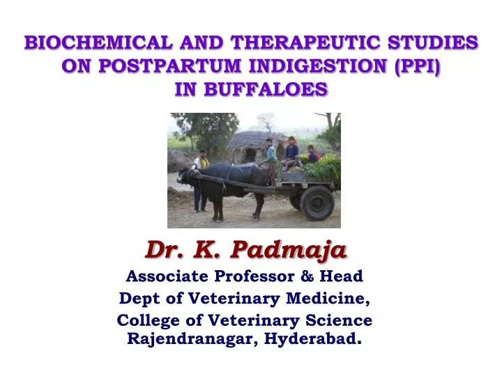 biochemical and therapeutic studies on postpartum indigestion ppi in buffaloes