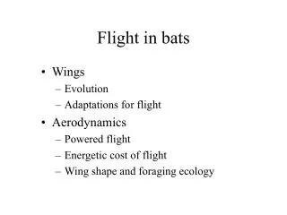 Flight in bats