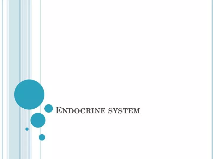 endocrine system