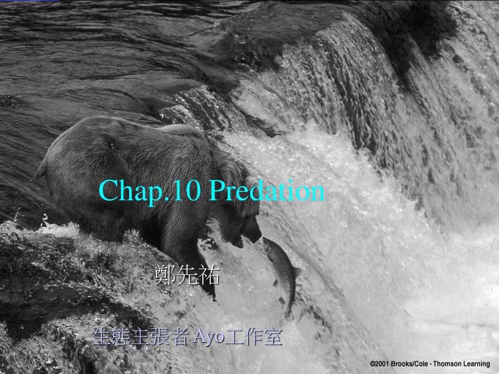 PPT - Chap.10 Predation PowerPoint Presentation, free download - ID:6588707