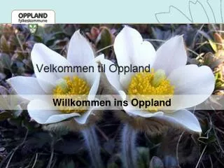 willkommen ins oppland
