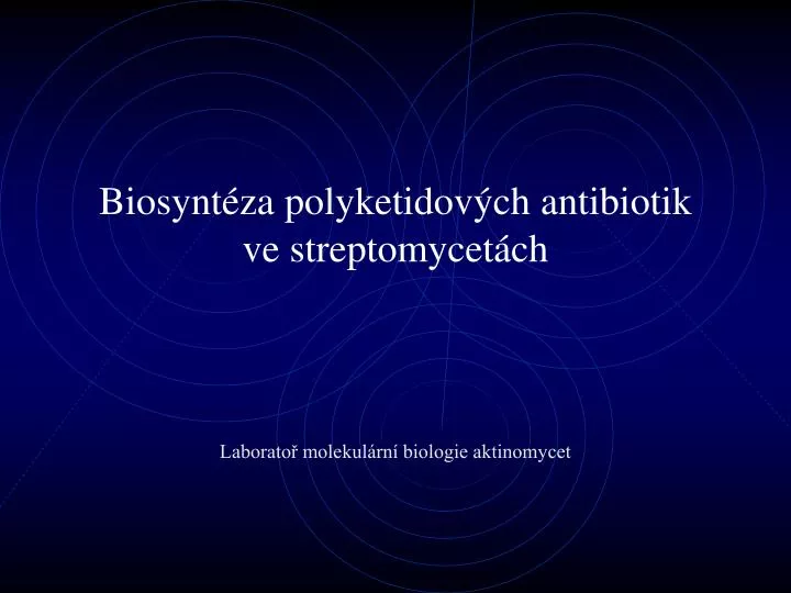 biosynt za polyketidov ch antibiotik ve streptomycet ch