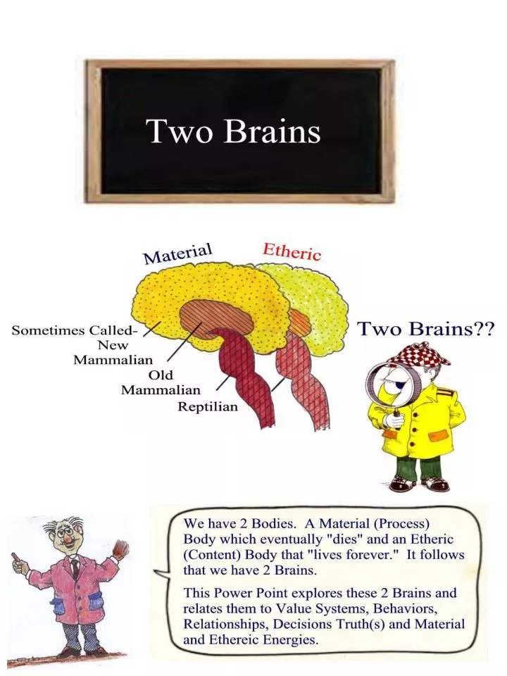 5f two brains