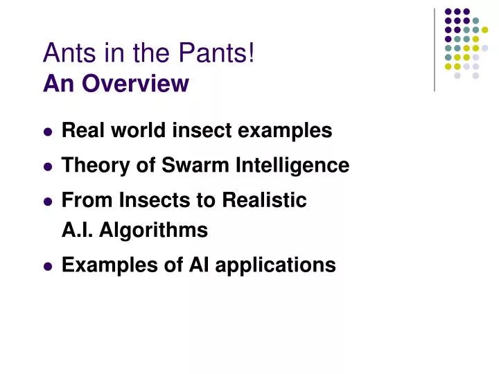 ants in the pants an overview