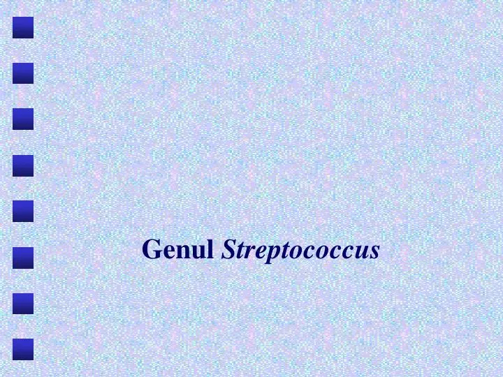 genul streptococcus