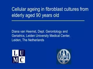 Cellular ageing in fibroblast cultures from elderly aged 90 years old
