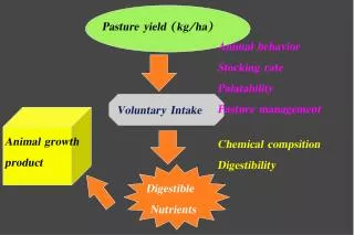 Chemical compsition Digestibility