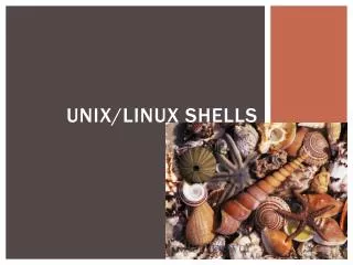 Unix/Linux shells