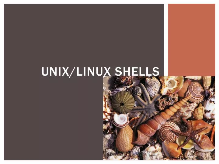 unix linux shells