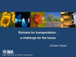 Biofuels for transportation , a challenge for the future