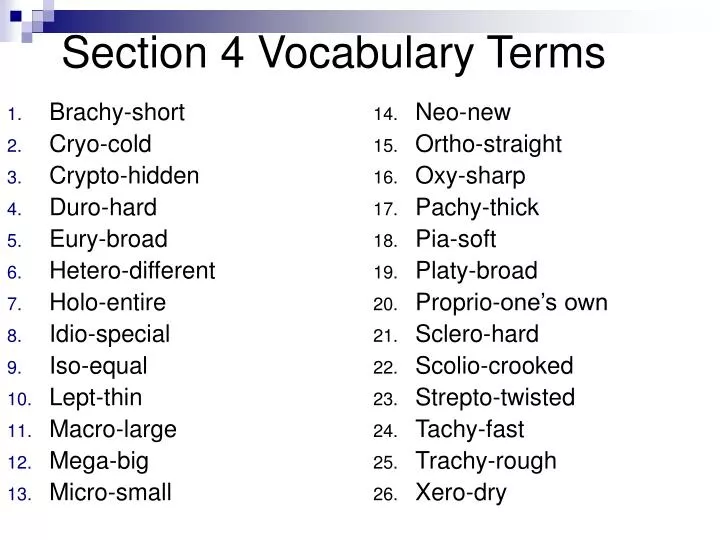 section 4 vocabulary terms