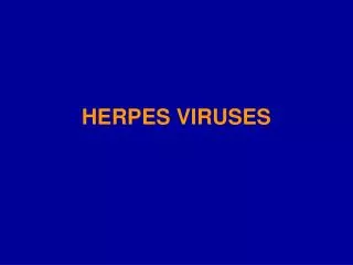 HERPES VIRUSES