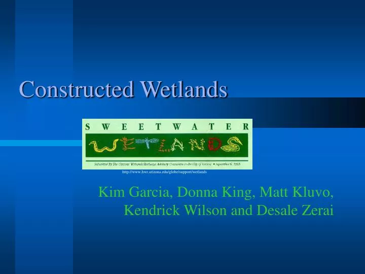 constructed wetlands