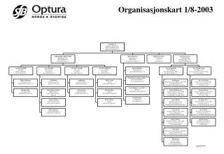 organisasjonskart 1 8 2003