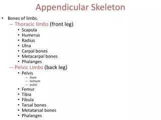 Appendicular Skeleton