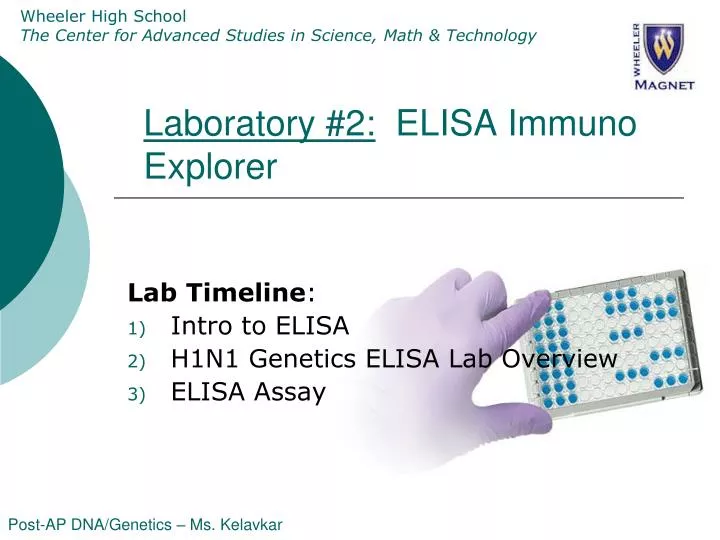 laboratory 2 elisa immuno explorer