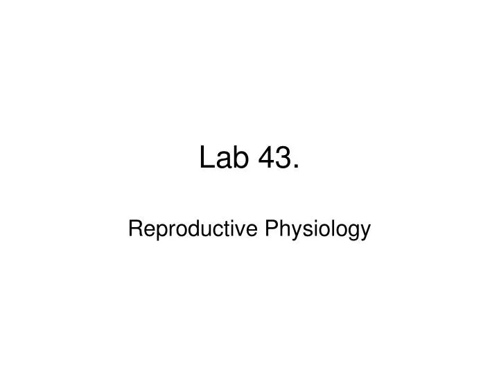 lab 43
