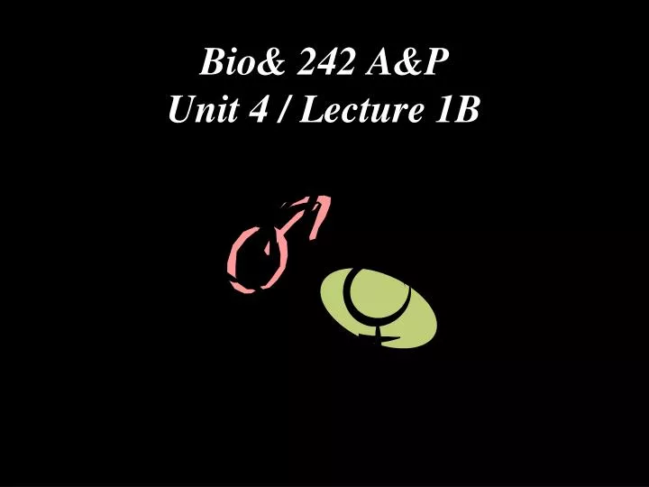 bio 242 a p unit 4 lecture 1b