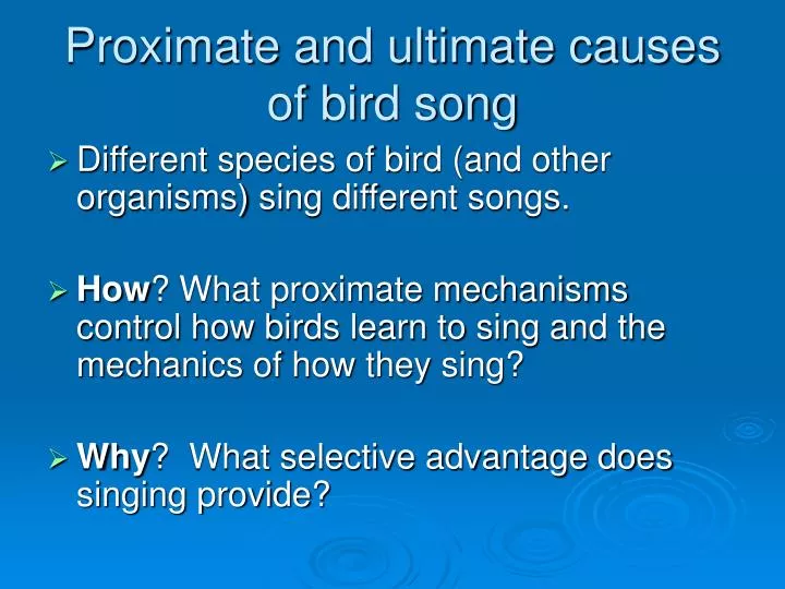 proximate and ultimate causes of bird song