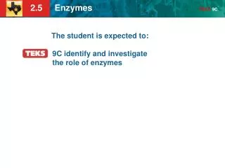 The student is expected to: 9C identify and investigate the role of enzymes
