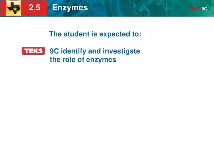 the student is expected to 9c identify and investigate the role of enzymes