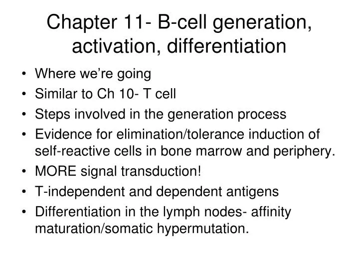 chapter 11 b cell generation activation differentiation