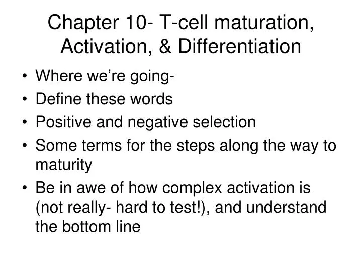 chapter 10 t cell maturation activation differentiation