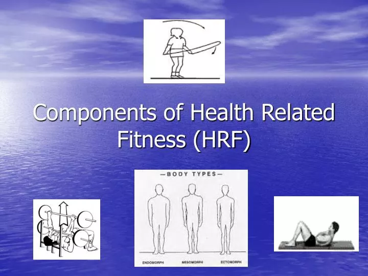 components of health related fitness hrf