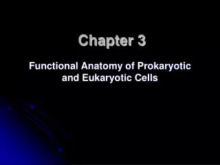 chapter 3