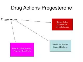 Drug Actions-Progesterone