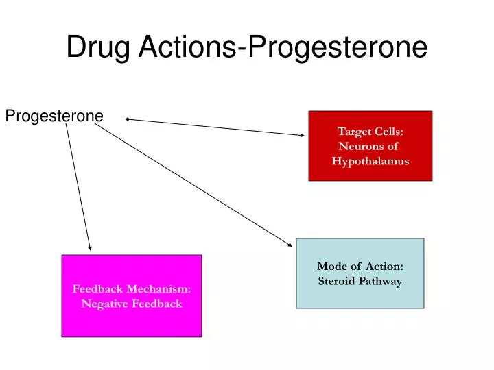 drug actions progesterone